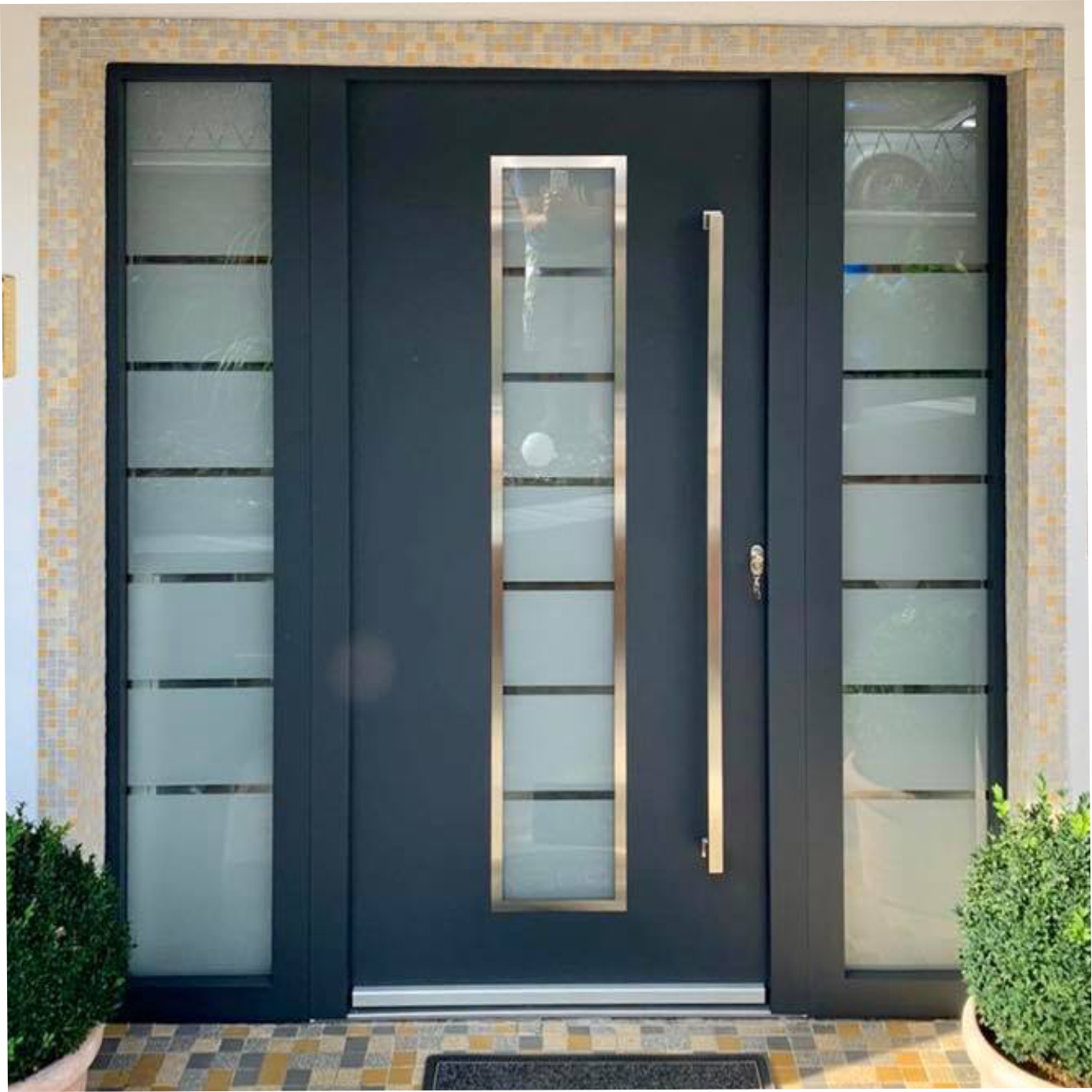 Model LA222 + 2 Luminatoare laterale Sistem WH100 Alu cu PVC Usa de intrare